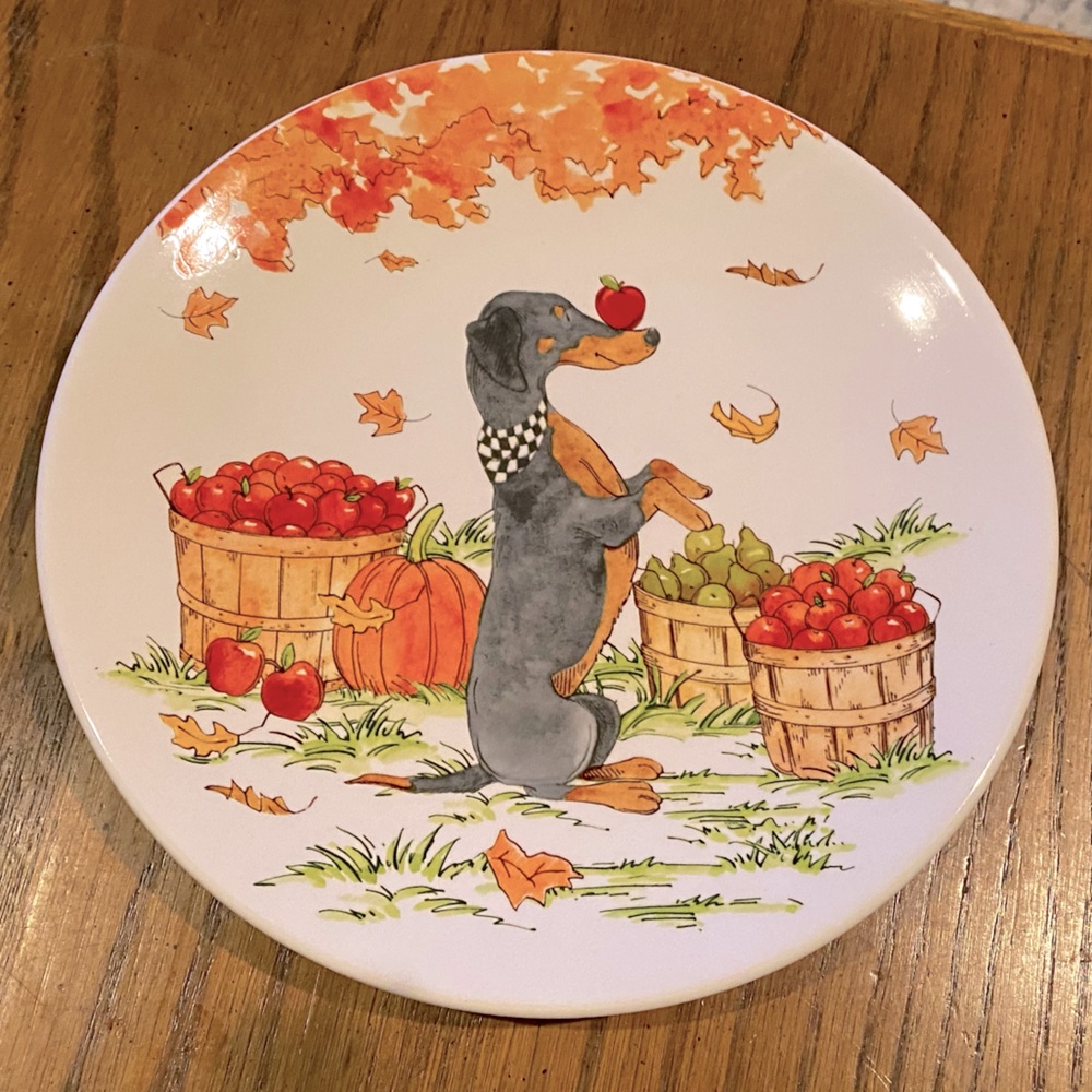 Hobby Lobby fall dog plate
